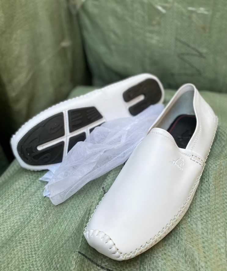 Des dingo disponible 🛍️