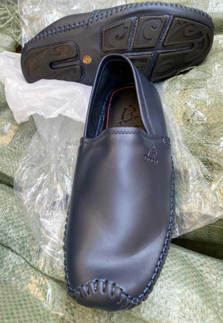 Des dingo disponible 🛍️