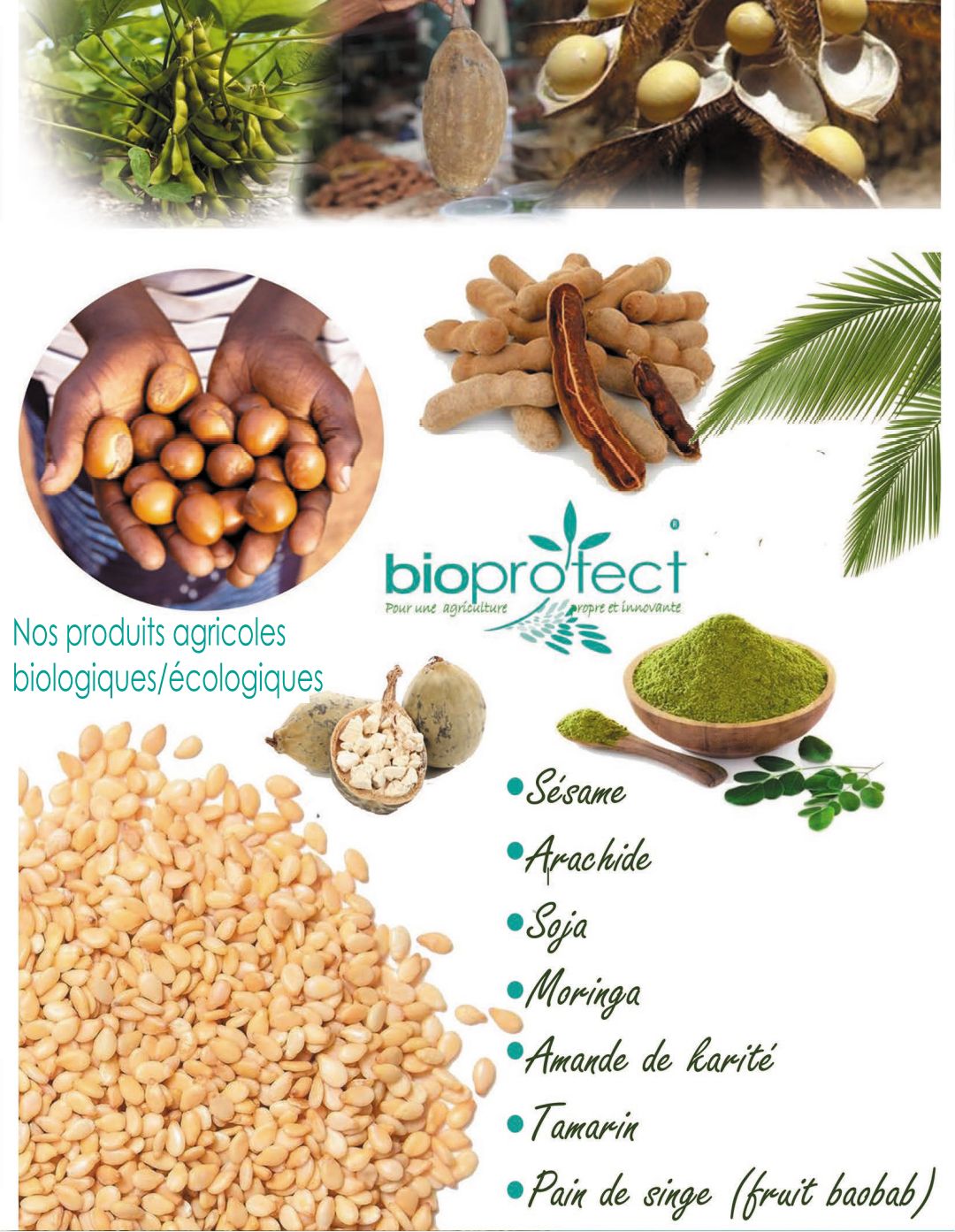 Produit agro-alimentaire et forestier ligneux et non ligneux