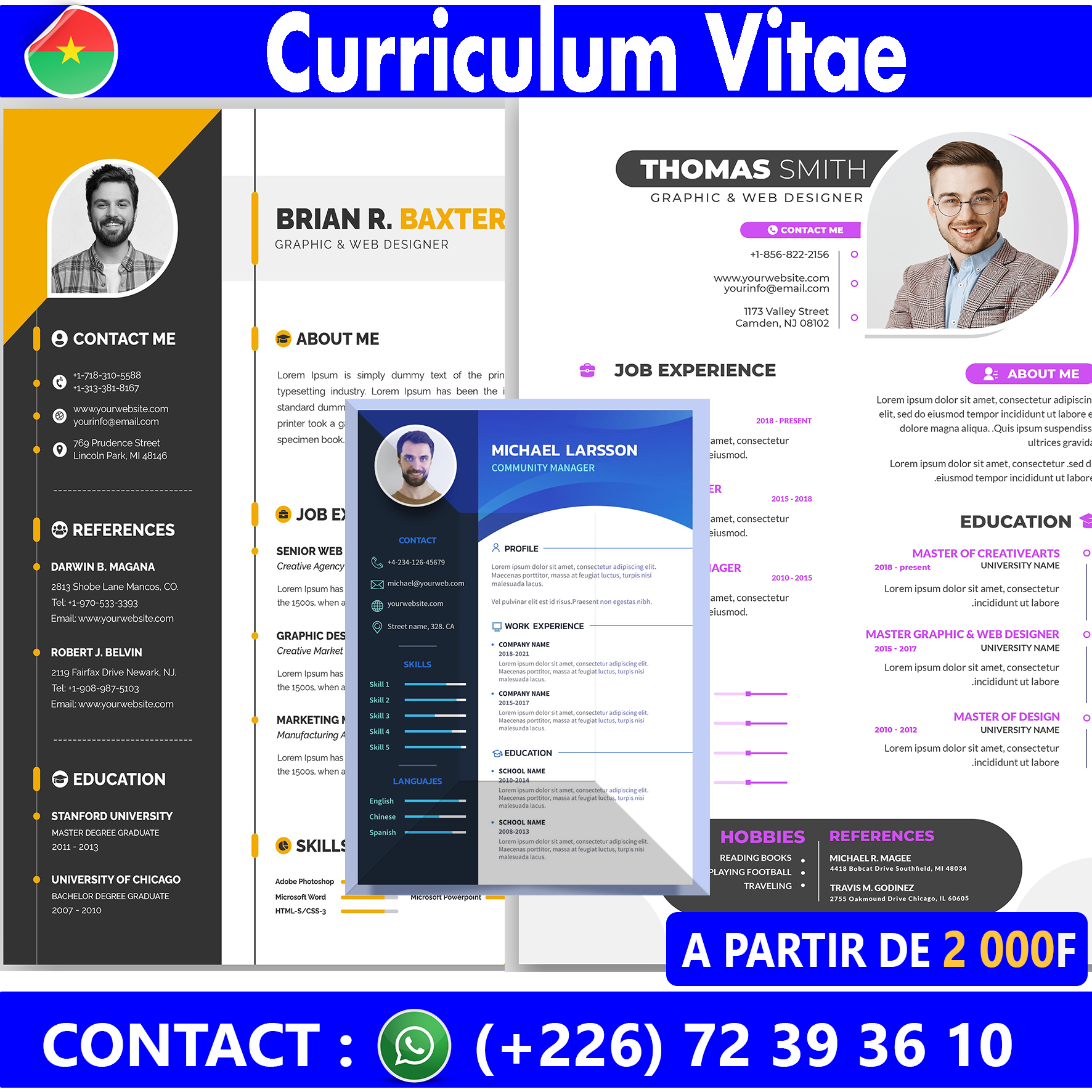 CV Professionnel