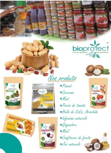 Produit agro-alimentaire et forestier ligneux et non ligneux