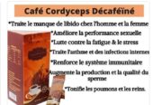 Café CORDYCEPS