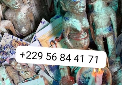600e0b10-265b-41ef-978d-96817d1d9e3b-1
