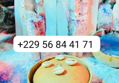 8ae4f682-58c2-46fb-b437-ffcff9bdb825