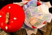 LE VRAI PORTEFEUILLE MAGIQUE EN EURO, PUISSANT MARABOUT DU VRAI PORTE MONNAIE MAGIQUE, tel: +229 56 84 41 71 vrai multiplication d’argent en euros, en dollars et en fcfa