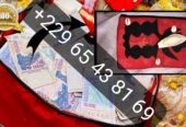Comment faire le vrai portefeuille magique sans consequences +229 0165438169