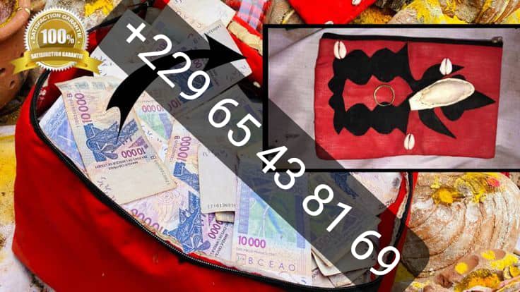 Comment faire le vrai portefeuille magique sans consequences +229 0165438169
