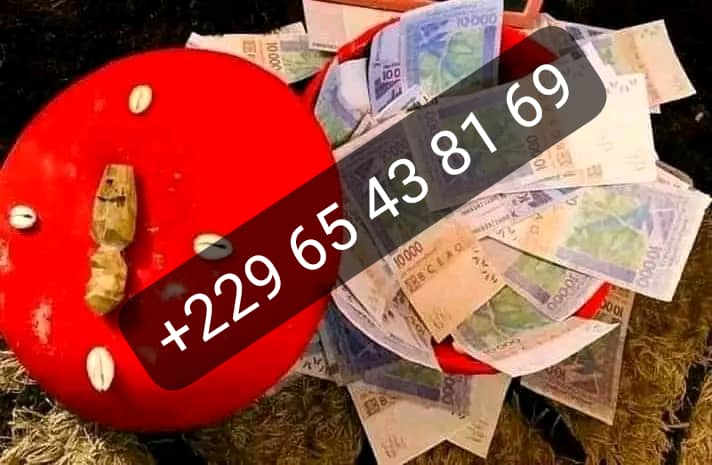 Explication du vrai portefeuille magique (bedou magique) +2290165438169