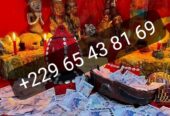 Comment faire le vrai portefeuille magique sans consequences +229 0165438169