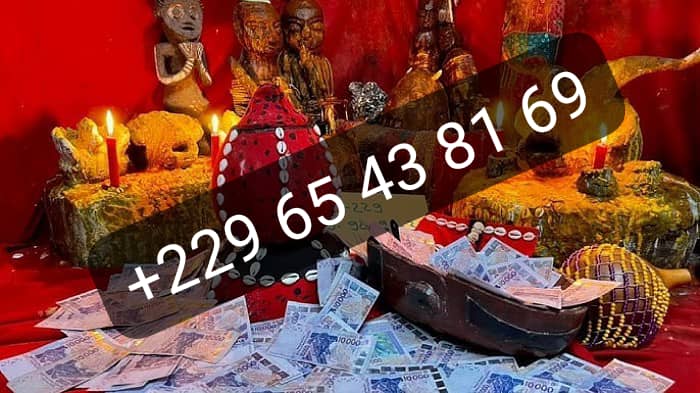 Comment faire le vrai portefeuille magique sans consequences +229 0165438169
