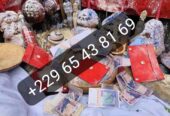 Explication du vrai portefeuille magique (bedou magique) +2290165438169