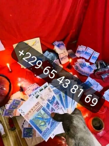 Comment faire le vrai portefeuille magique sans consequences +229 0165438169