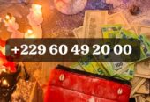 COMMENT PUIS-JE AVOIR LE VRAI PORTEFEUILLE MAGIQUE A DISTANCE ? +229 01 60 49 20 00
