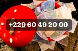 Le secret du vrai portefeuille magique, bedou magique; +229 01 60 49 20 00