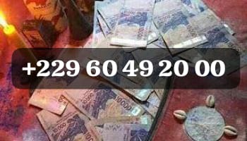 Comment faire le vrai portefeuille magique sans consequences +229 01 60 49 20 00