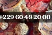 COMMENT PUIS-JE AVOIR LE VRAI PORTEFEUILLE MAGIQUE A DISTANCE ? +229 01 60 49 20 00