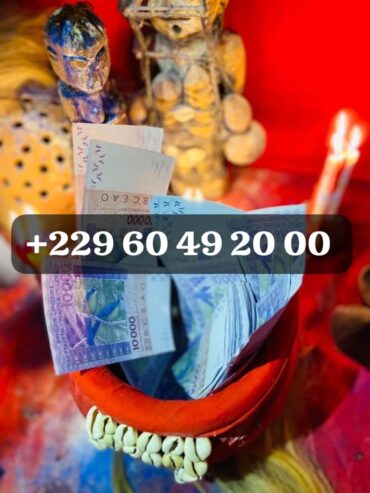 COMMENT PUIS-JE AVOIR LE VRAI PORTEFEUILLE MAGIQUE A DISTANCE ? +229 01 60 49 20 00