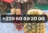 Retour affectif rapide, Retour d’affection rapide, Rituel de retour affectif rapide et efficace, Retour affectif rapide en 24h, Retour d’affection rapide en 24h +229 01 60 49 20 00