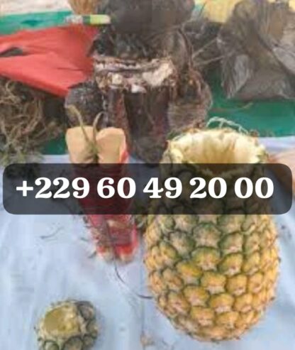 Retour affectif rapide, Retour d’affection rapide, Rituel de retour affectif rapide et efficace, Retour affectif rapide en 24h, Retour d’affection rapide en 24h +229 01 60 49 20 00