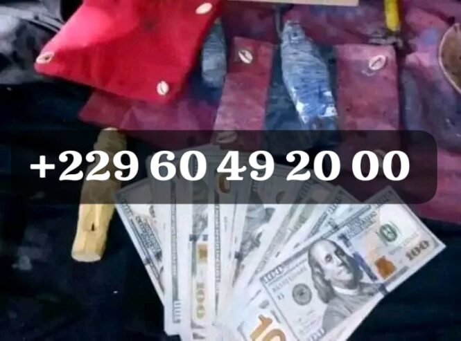 Vrai multiplication d’argent rapide, expliquer la multiplication d’argent +229 01 60 49 20 00