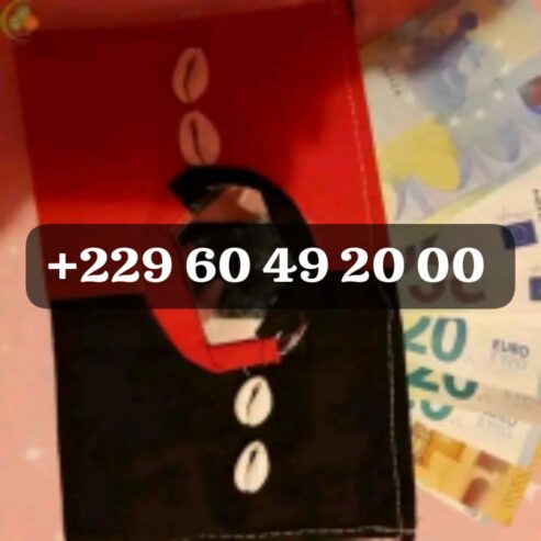 PROCEDURE POUR AVOIR LE VRAI PORTEFEUILLE MAGIQUE EN LIGNE A DISTANCE +229 01 60 49 20 00, PORTE MONNAIE MAGIQUE EN EURO SANS CONSEQENCES