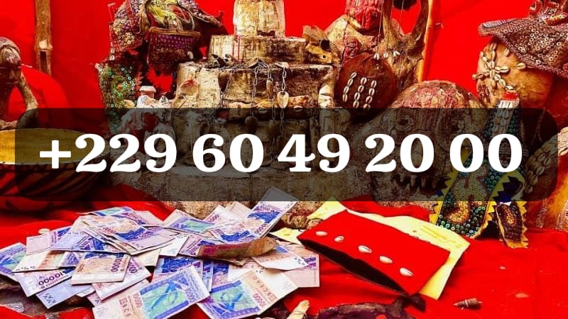 PROCEDURE POUR AVOIR LE VRAI PORTEFEUILLE MAGIQUE EN LIGNE A DISTANCE +229 01 60 49 20 00, PORTE MONNAIE MAGIQUE EN EURO SANS CONSEQENCES