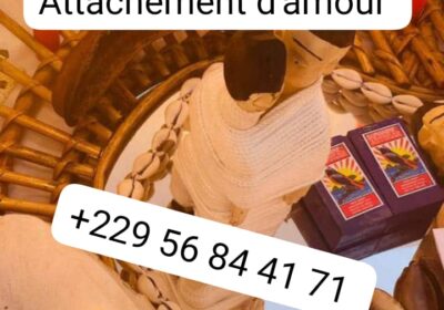 a20ef637-8456-4322-a564-6c6a98b48184