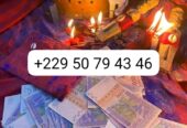vrai multiplication fiable dargent en euro +229 50 79 43 46