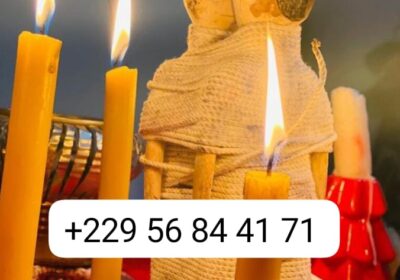 e921a42e-c9f3-410d-b980-7b4287ef68d6-1