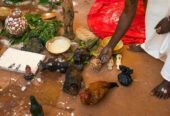 48h pour Reconstruire son Bonheur Conjugal : Feliho Djegba Rend Possible l’Impossible +229 0161878589