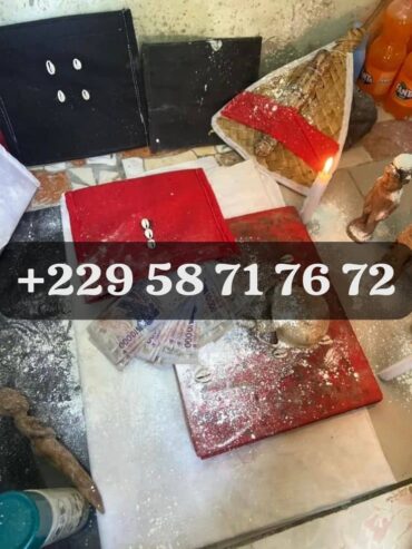 COMMENT PUIS-JE AVOIR LE VRAI PORTEFEUILLE MAGIQUE A DISTANCE ? +229 01 58 71 76 72