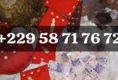 COMMENT OBTENIR LE VRAI PORTEFEUILLE MAGIQUE EN EUROS A DISTANCE ? +229 01 58 71 76 72