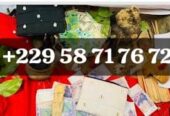 Comment avoir le vrai porte -feuille magique en euro france +229 01 58 71 76 72
