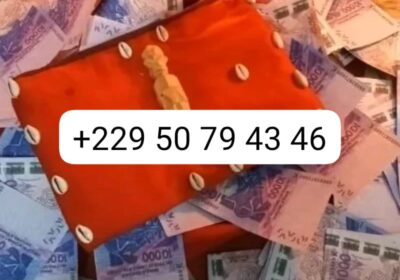 0f771dad-8084-4ead-b8d9-e343c3ec6377