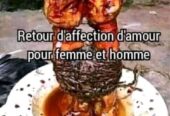 fair revenir son ex rapidement serieux+229 46 94 65 21 retour affectif