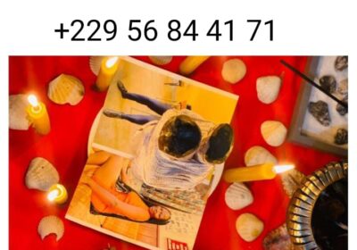 6d92716b-3b40-41cd-872d-08ccd9fa6f95