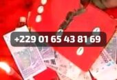 Comment avoir le portefeuille magique qui produit l’argent 00229 01 65 43 81 69