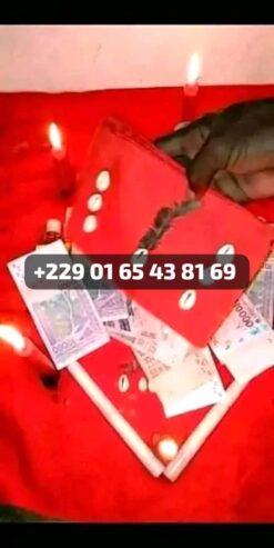 Comment avoir le portefeuille magique qui produit l’argent 00229 01 65 43 81 69