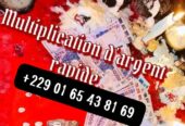 Comment avoir le portefeuille magique qui produit l’argent 00229 01 65 43 81 69