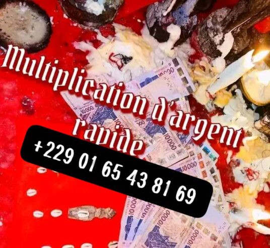 Comment avoir le portefeuille magique qui produit l’argent 00229 01 65 43 81 69