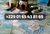 Comment avoir le portefeuille magique qui produit l’argent 00229 01 65 43 81 69