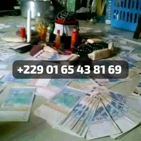 Comment avoir le portefeuille magique qui produit l’argent 00229 01 65 43 81 69