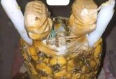 Comment faire le vrai portefeuille magique sans consequences au bénin +229 98 61 10 39