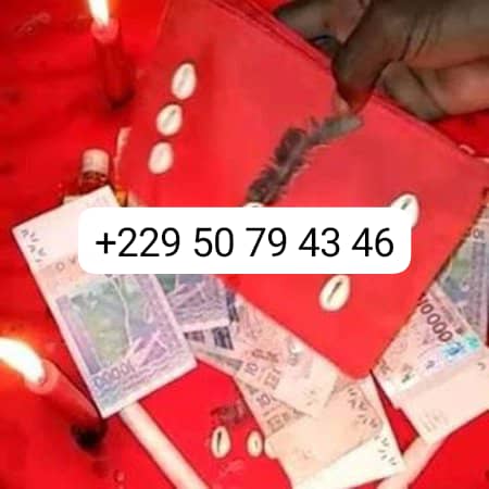 VRAI PORTEFEUILLE MAGIQUE EN EUROS EN FRANCE +229 50 79 43 46