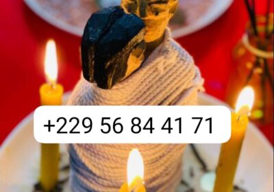 f388320b-4cf1-4644-b843-89d8b61b6645-2